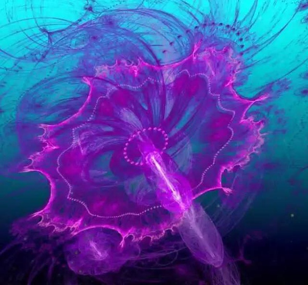 ˮĸͺˮһ